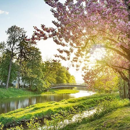 Pension Helma Bad Neuenahr-Ahrweiler Exteriör bild